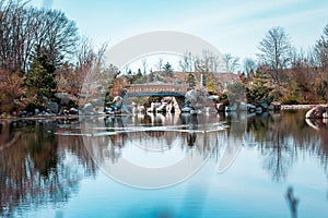 Frederik Meijer Gardens - Grand Rapids, MI, USA - April 28th 2019:   Geese swimming in front of the bridge at the japanese garden