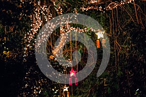 Frederik Meijer Gardens - Grand Rapids, MI /USA - December 18th 2016: Christmas lights in the tropical gardens in the Frederik Mei