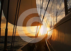 Fredom: Sailing with big sail, slow wind on the ocean towards a sunset at sea; give a sense of calm, relax, vacation and transport