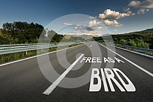 Free As A Bird message on Asphalt highway road through the countryside