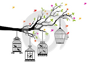 Free birds and birdcages, vector