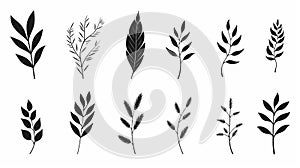Free Brushwork Wheat And Rye Leaves Vector Illustration