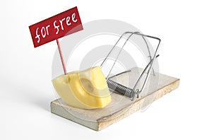 The only free cheese is in the mousetrap: mousetrap with cheese entrapment concept and free sign on the isolated white background.