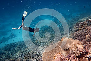 Free Diver in the Coral Reef