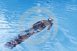 Free diving training on swimming pool