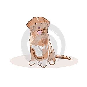 Free DogIllustration vector