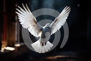 A free flying white dove isolated on a dark background. Holy spirit dove flies. Generative Ai.