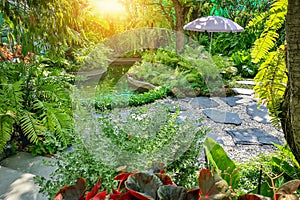 Free form pattern of black stone walkway and white gravel in garden of park, greenery fern epiphyte plant, tropical shrub and bush