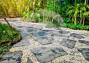 Free form pattern of black stone walkway and white gravel in garden of park, greenery fern epiphyte topical plant