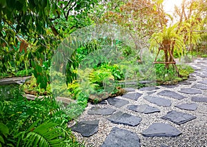 Free form pattern of black stone walkway and white gravel in a tropical backyard garden, greenery fern epiphyte plant