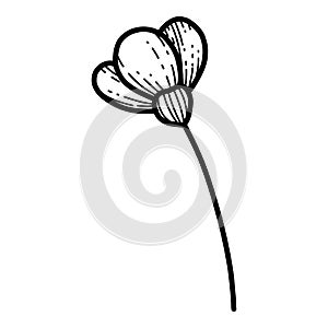 Free hand Sakura flower vector, Beautiful line art Peach blossom isolate on white background. Spring japan flower