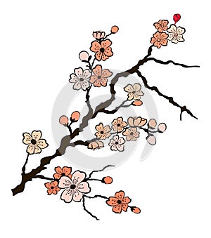 Free hand Sakura flower vector set, Beautiful line art Peach blossom isolate on white background