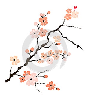 Free hand Sakura flower vector set, Beautiful line art Peach blossom isolate on white background