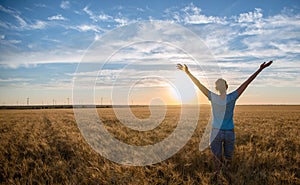 Free Happy Woman Enjoying Nature and Freedom Outdoor. Woman with arms outstretched in a wheat field in sunset.