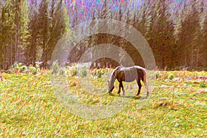 Free horse on a mountain meadow artwork