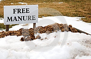 Free Manure photo