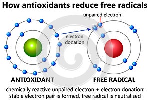 Free radical