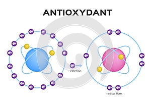 Free radical and Antioxidant . Antioxidant donates electron to Free radical . infographic