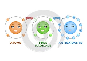 Free radical and Antioxidant vector . Antioxidant donates electron to Free radical . infographic cartoon photo
