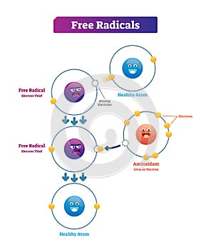 Free radicals, antioxidant and healthy atom explanation vector illustration diagram