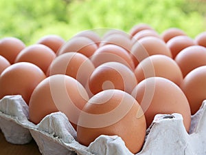 Free-range eggs with brown eggshell
