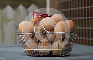 Free range hens eggs in a basket