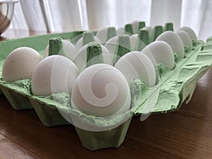 Free range organic eggs