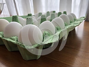 Free range organic eggs