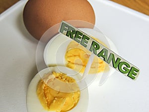 Free range, organic, hard boiled eggs