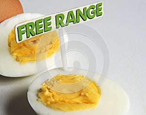 Free range, organic, hard boiled eggs