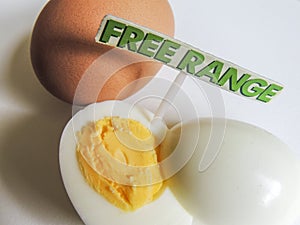 Free range organic hard boiled eggs