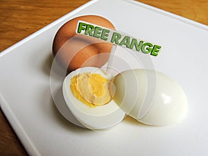 Free range organic hard boiled eggs
