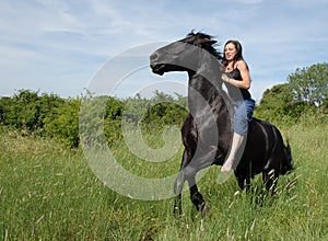 Free rearing stallion