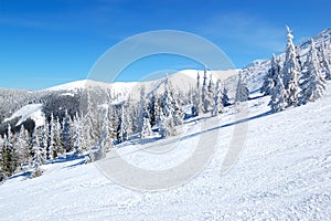 Freeride areál na Chopku v lyžařském středisku Jasná