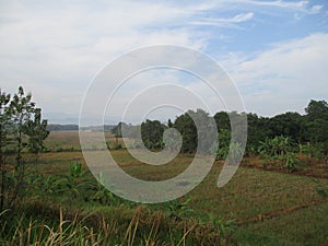 Free view of forest, river, mountain, sky in public and open area of Subang Regency