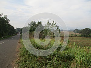 Free view of forest, river, mountain, sky in public and open area of Subang Regency