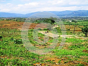 Free view of forest, river, mountain, sky in public and open area of Subang Regency