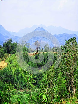 Free view of forest, river, mountain, sky in public and open area of Sumedang Regency