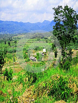 Free view of forest, river, mountain, sky in public and open area of Sumedang Regency