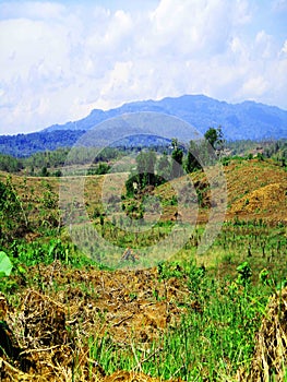 Free view of forest, river, mountain, sky in public and open area of Sumedang Regency