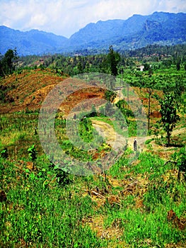 Free view of forest, river, mountain, sky in public and open area of Sumedang Regency