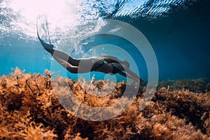 Freediver girl with white fins glides underwater with amazing sun rays and seaweed. Free diving underwater in blue sea