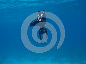 Freediver with monofin makes turn near sea bottom