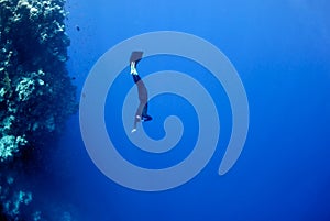 Freediver moves underwater along coral reef photo