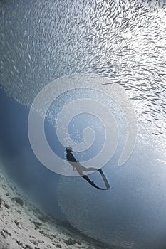 Freediver swim with a big school of fishes in ocean