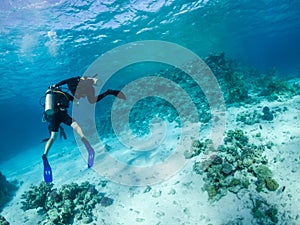 Freedivers swimming near coral reef in Red Sea