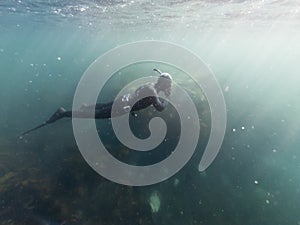 Man in wetsuit freediving underwater whilst snorkeling photo