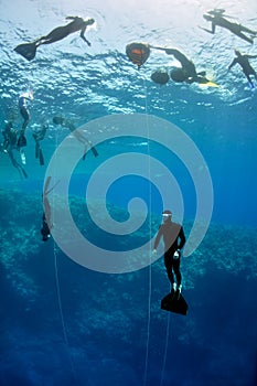 Freediving training