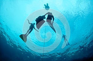 Freediving training in the depth of Blue Hole