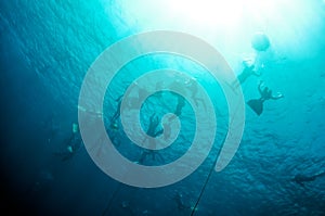 Freediving training in the depth of Blue Hole